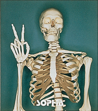 「進化論 ~GOOD MORNING! -HELLO! 21st-CENTURY~」